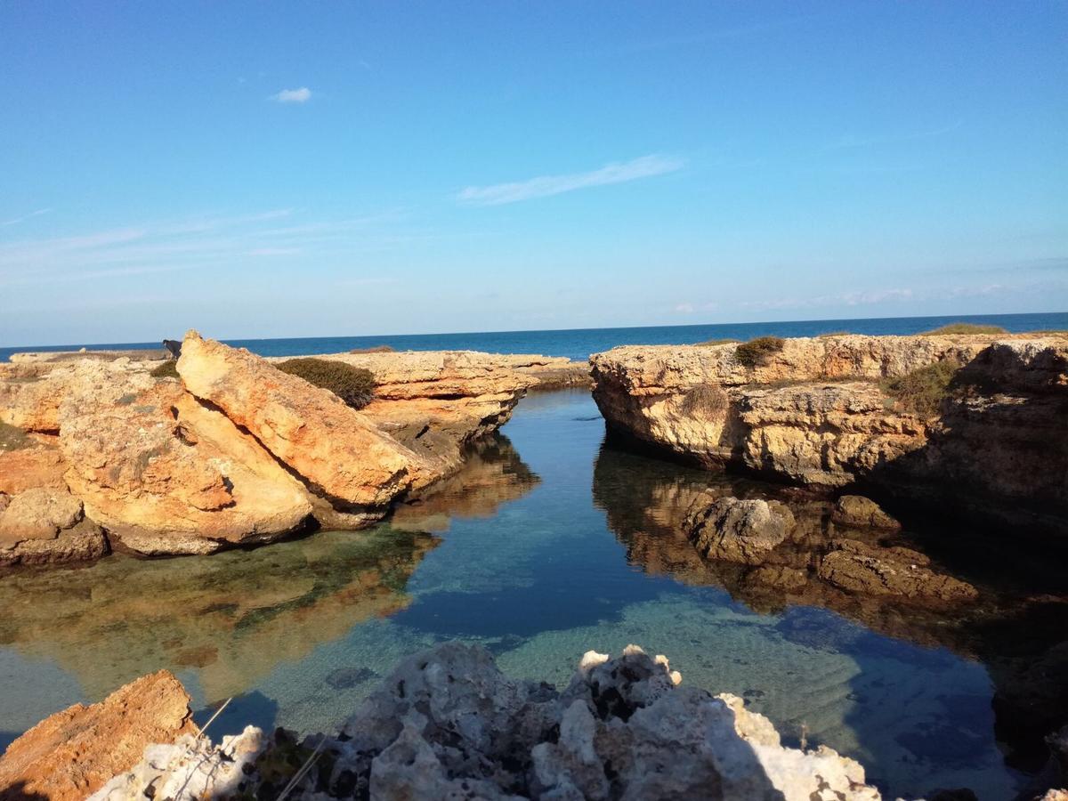 La Dimora Salento Bed & Breakfast Carovigno Eksteriør bilde